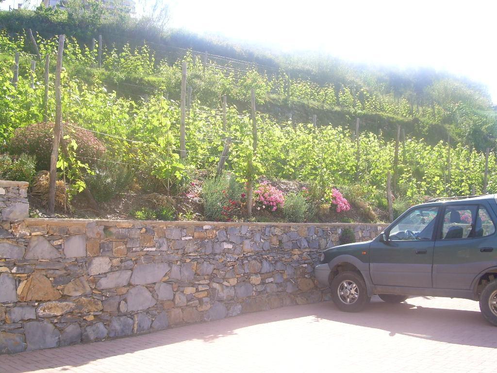 Ariabuona Apartamento Moneglia Exterior foto