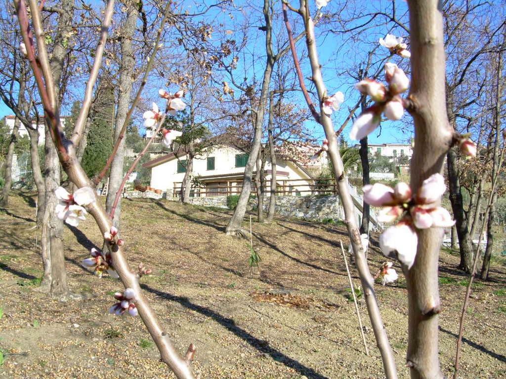Ariabuona Apartamento Moneglia Exterior foto